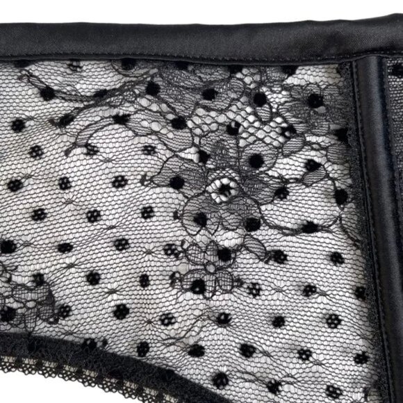 Victoria's Secret Dream Angels Luxe Sheer Lace Garter Belt NWT - Picture 6 of 8